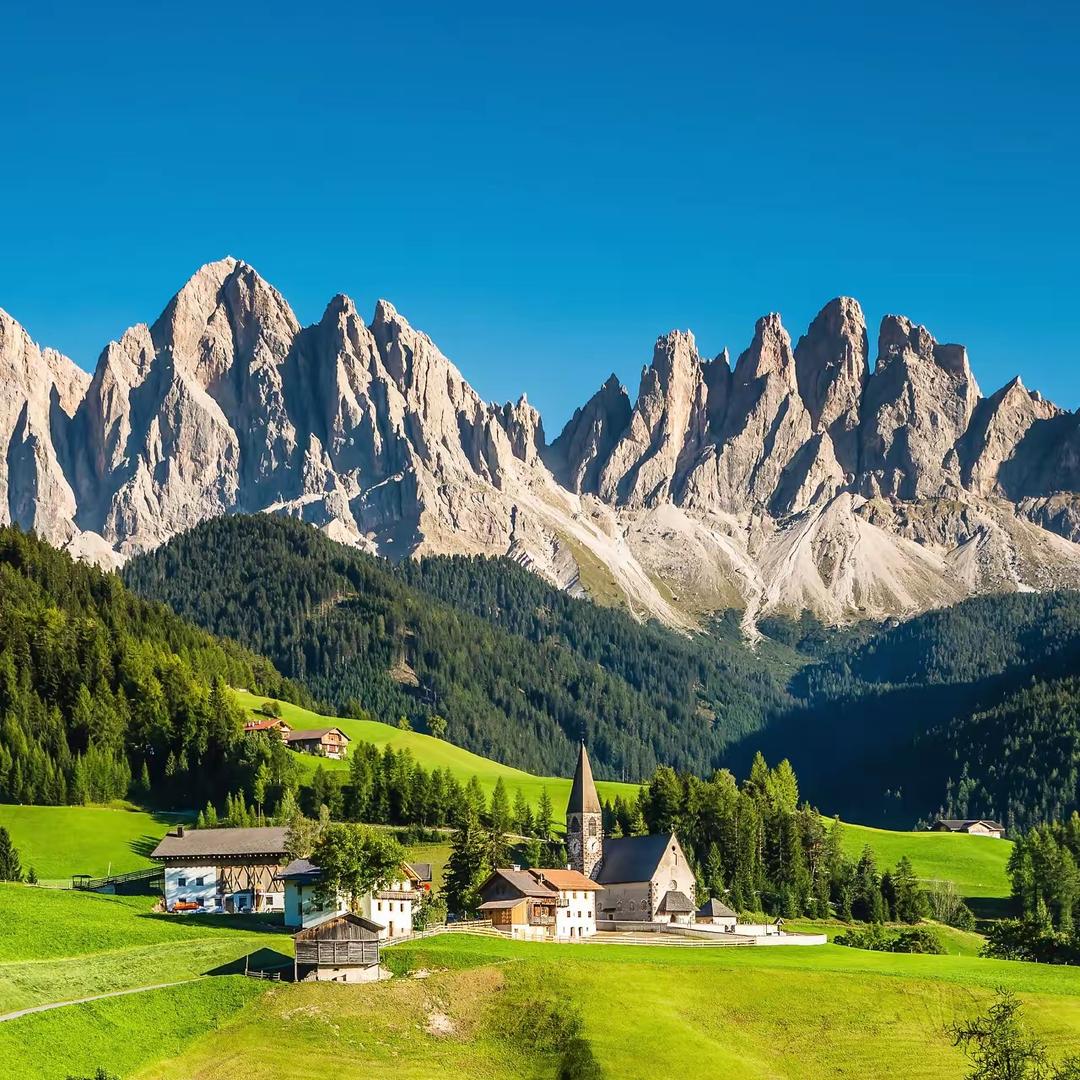 橘子🍊味的秋天