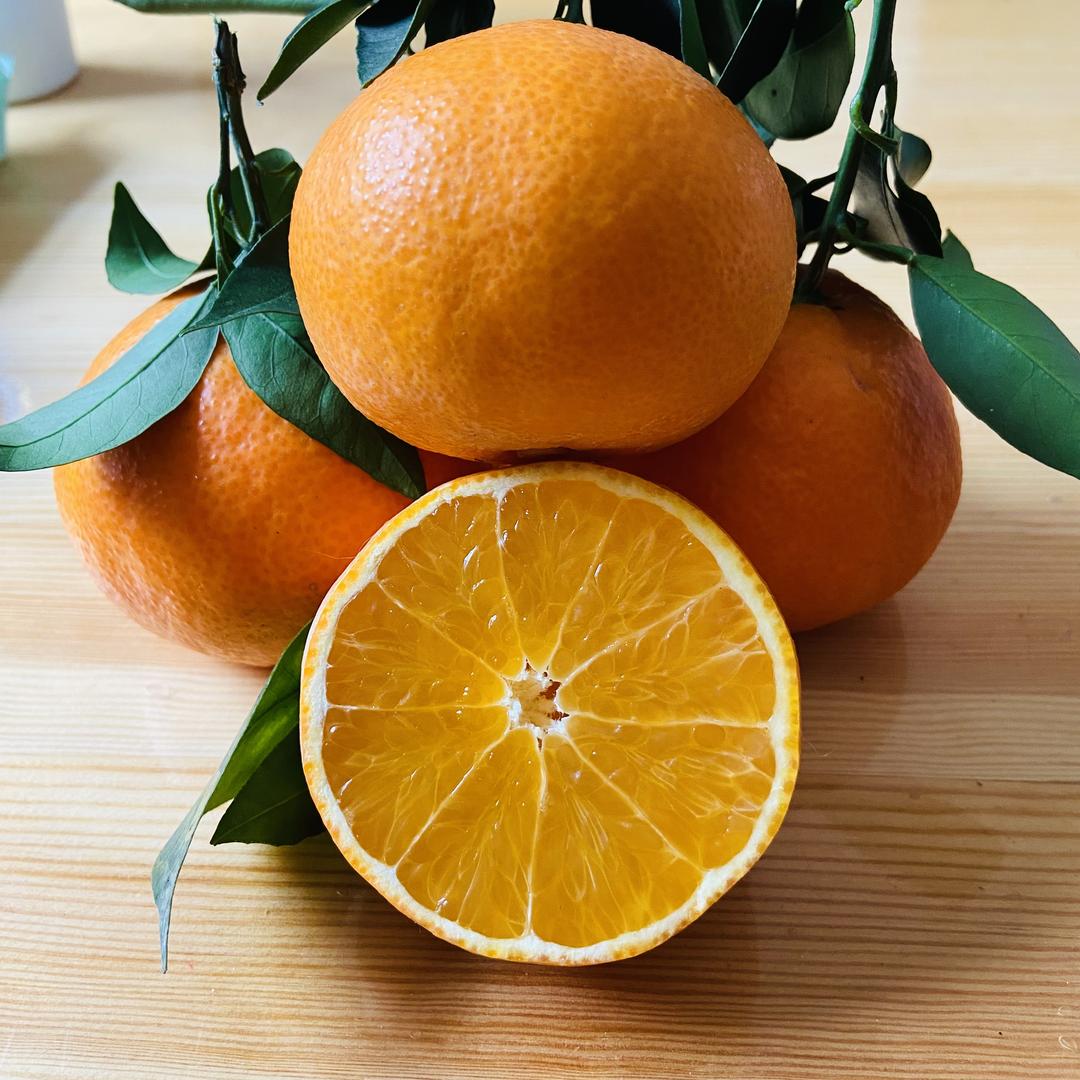 红火水果明日达