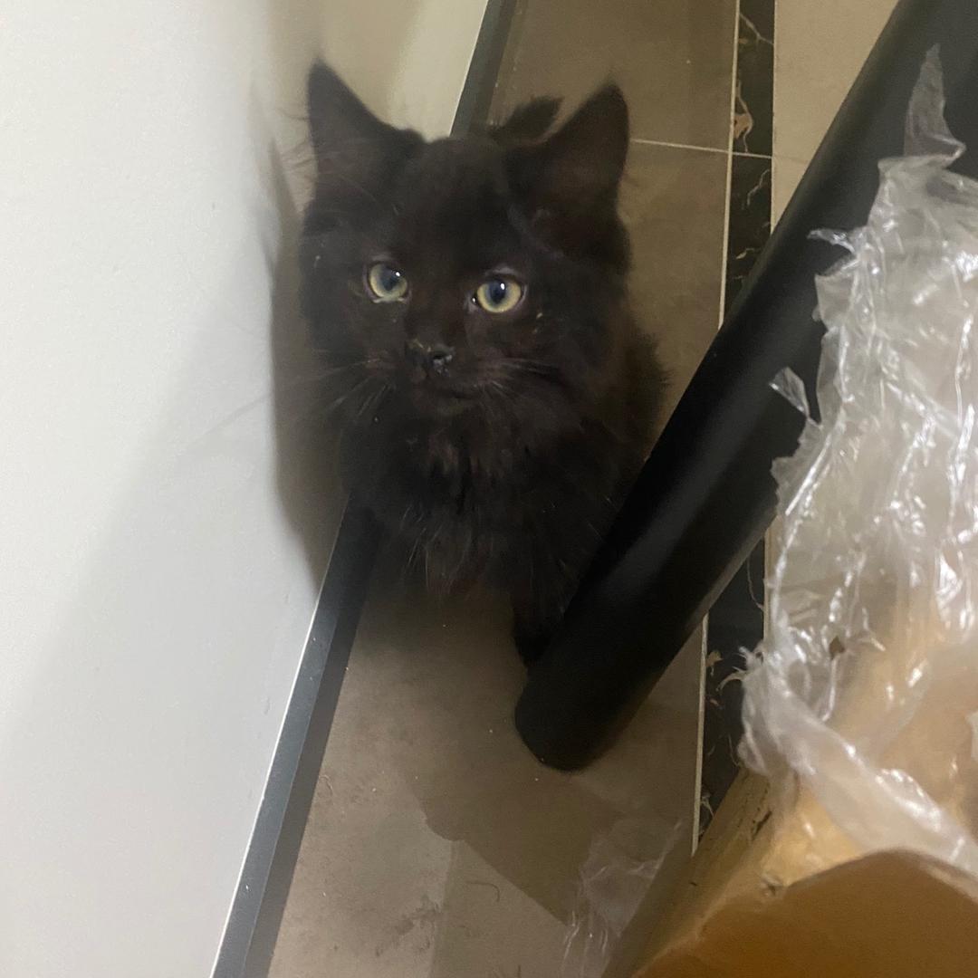 嘿宝儿宠物用品