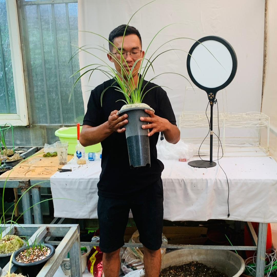 施甸县姚关镇盛南邦兰苑