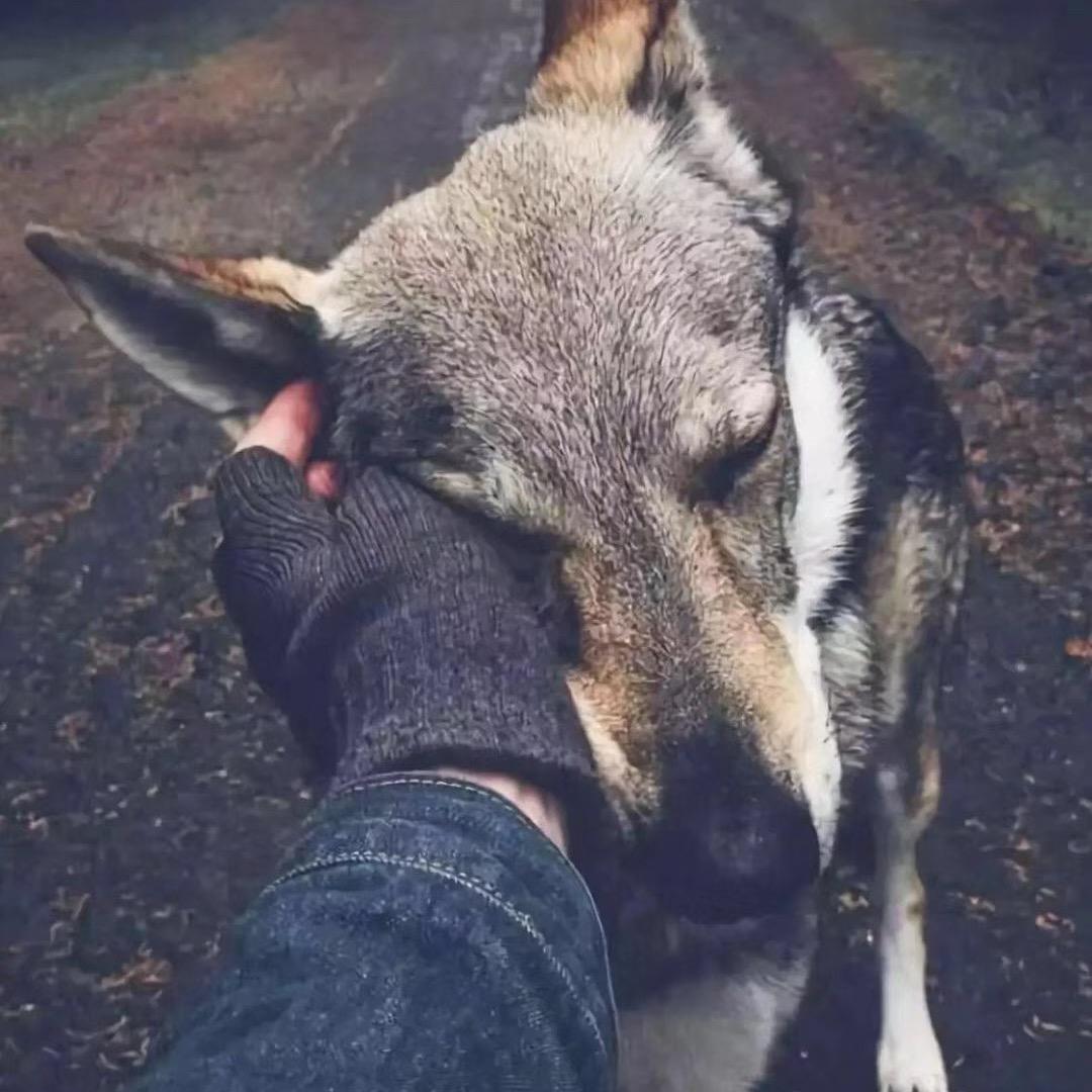 英雄联盟皎月001