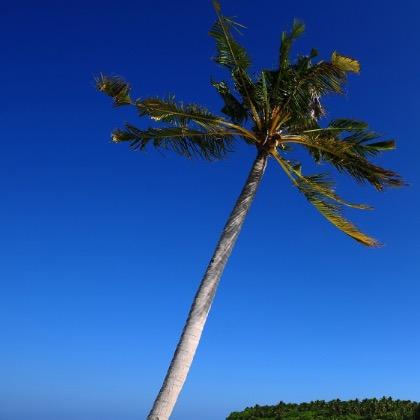 广州浅白彩网络科技有限公司芥的末直播号