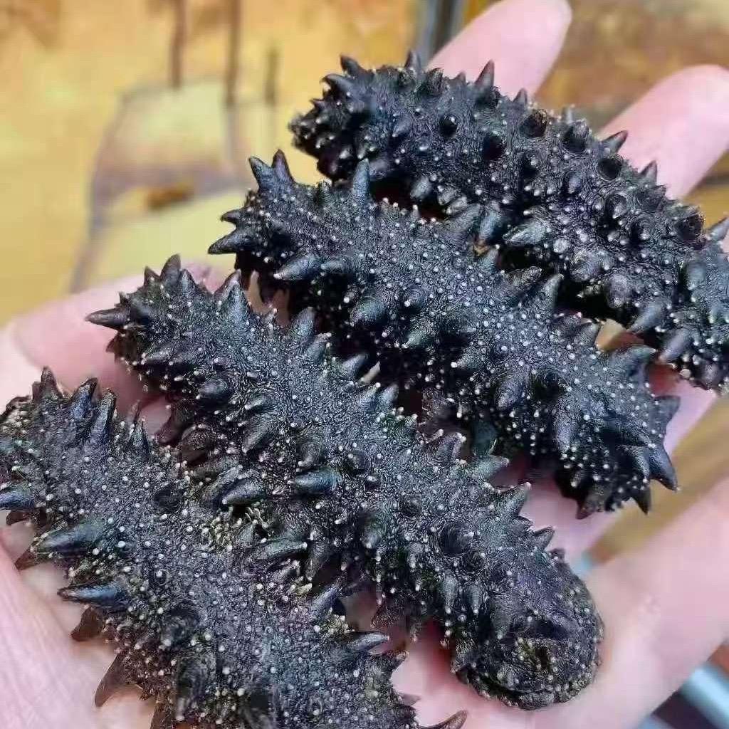 青岛福润堂海参