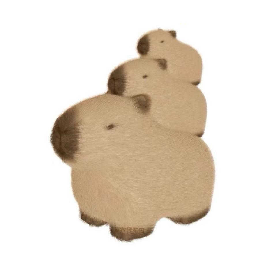 小度学长（日本留学）