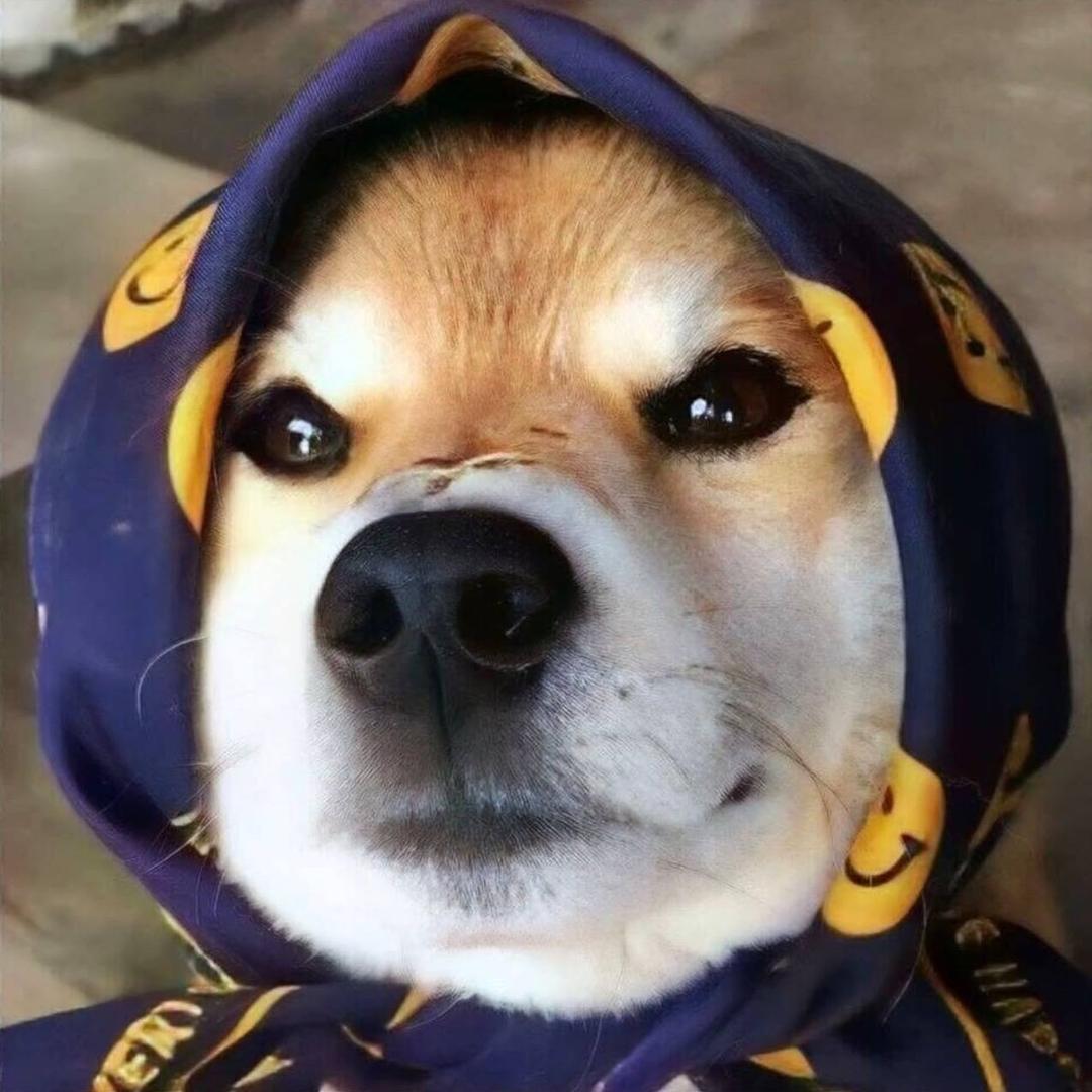 yhhhhhhh