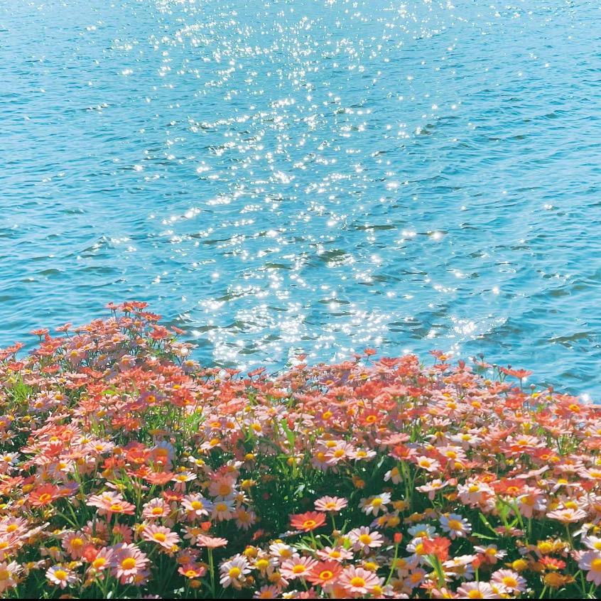 小露（开火锅店版）