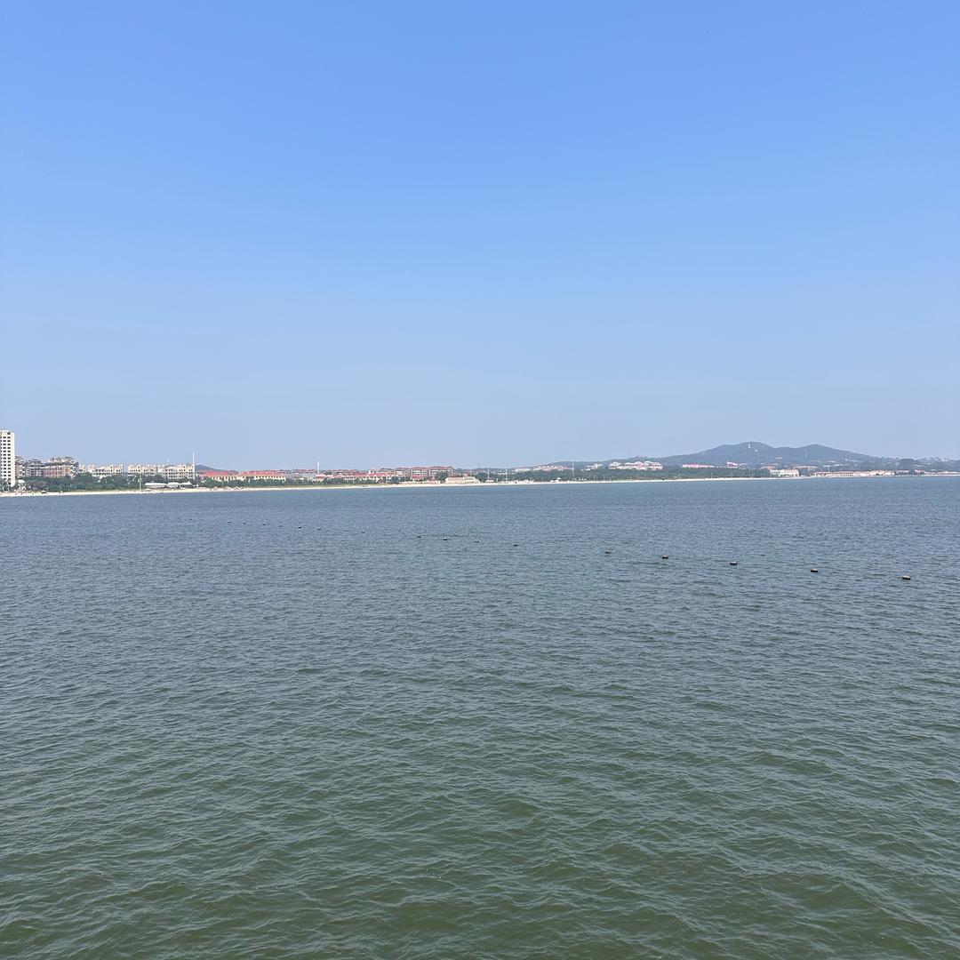 岁星