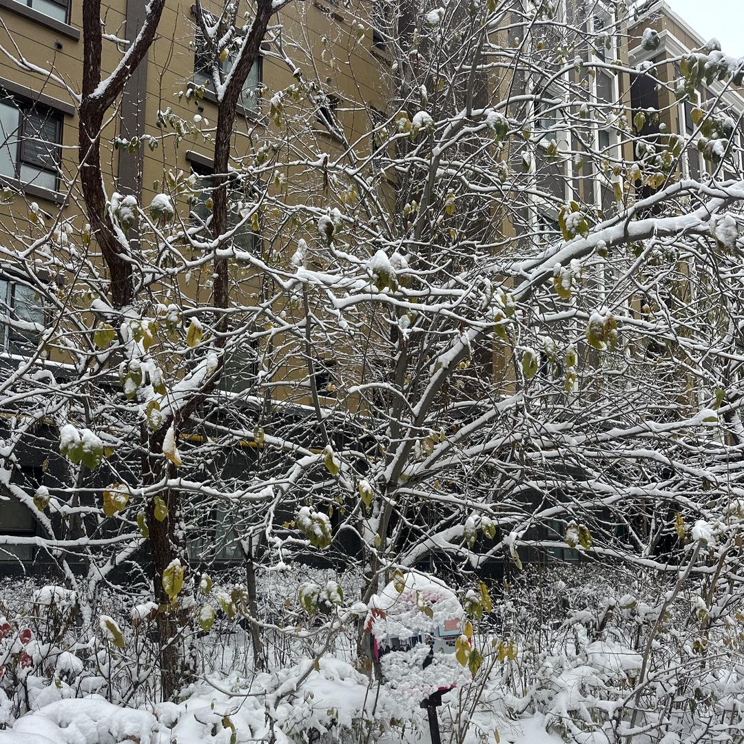 武汉市予兆坚商贸有限公司