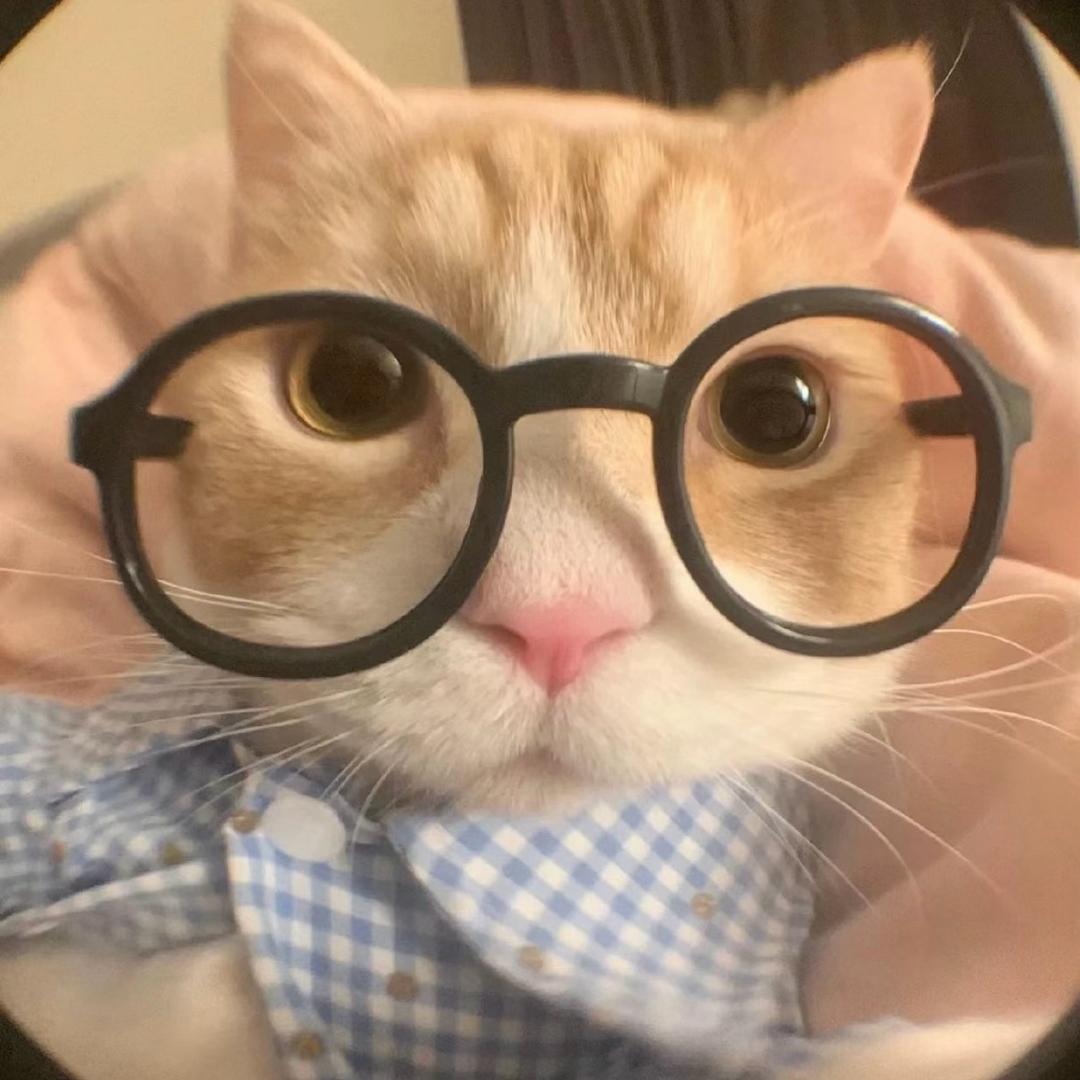 小咔葵