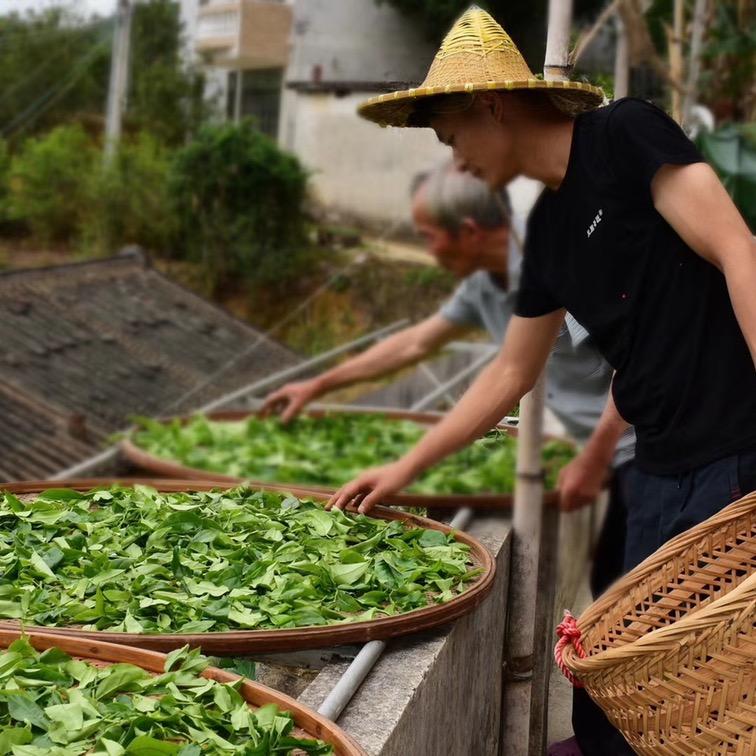 欢喜连连茶叶店