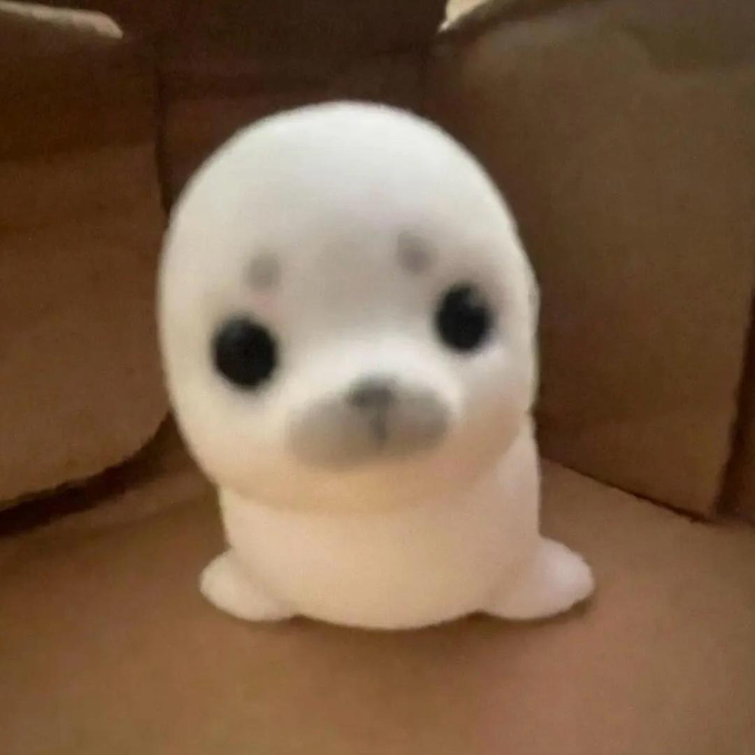 小羊咩咩