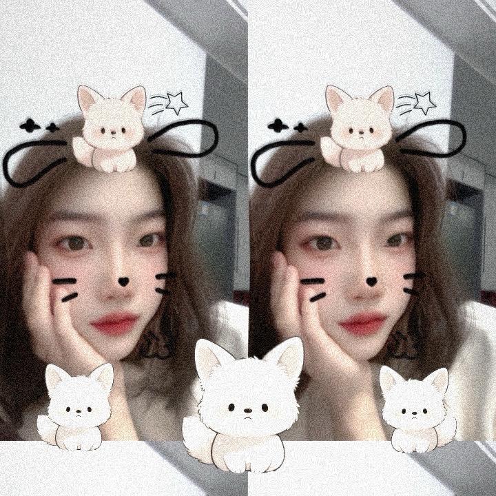@聪