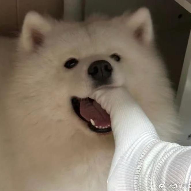 不在酱