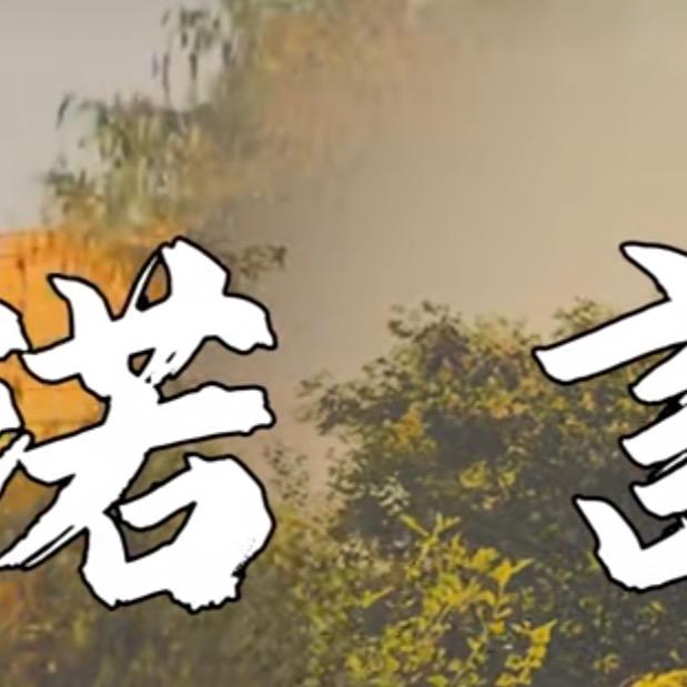 杨洋，