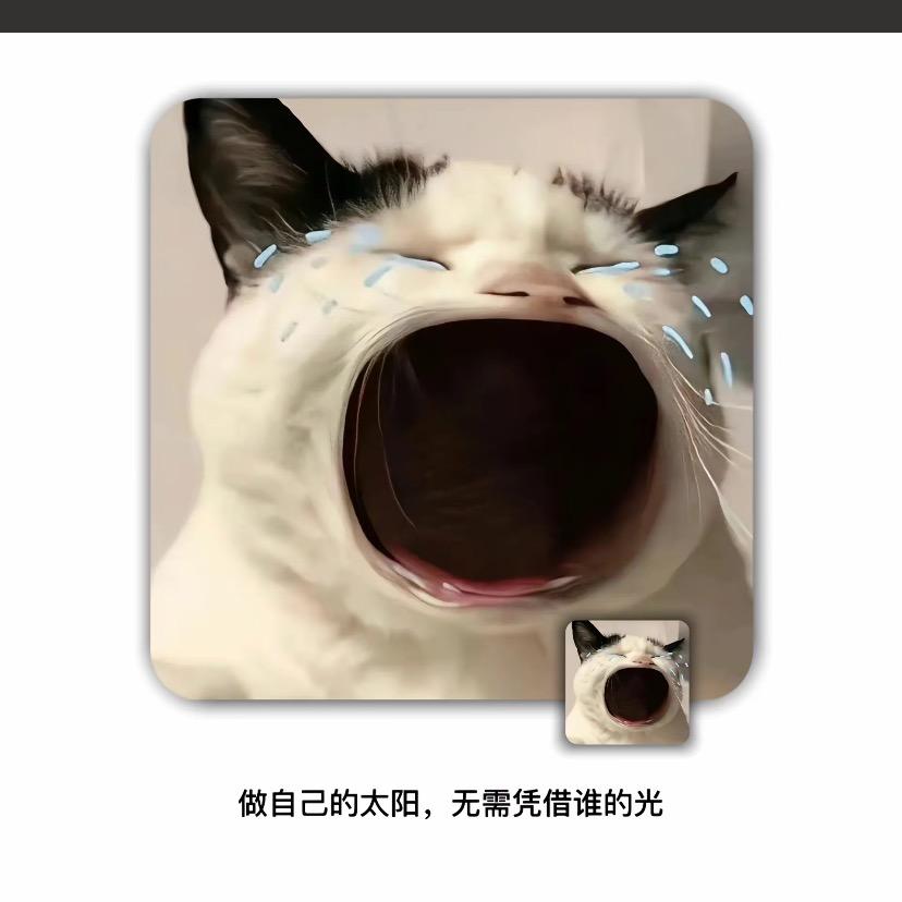 🧀芝士贫困户