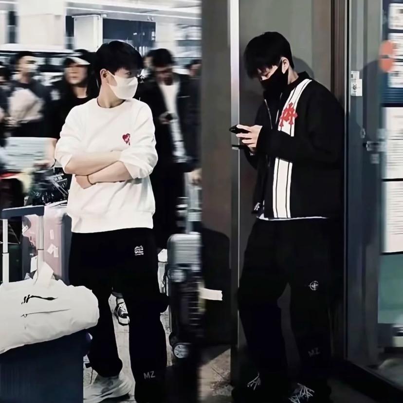 多肉葡萄正常糖