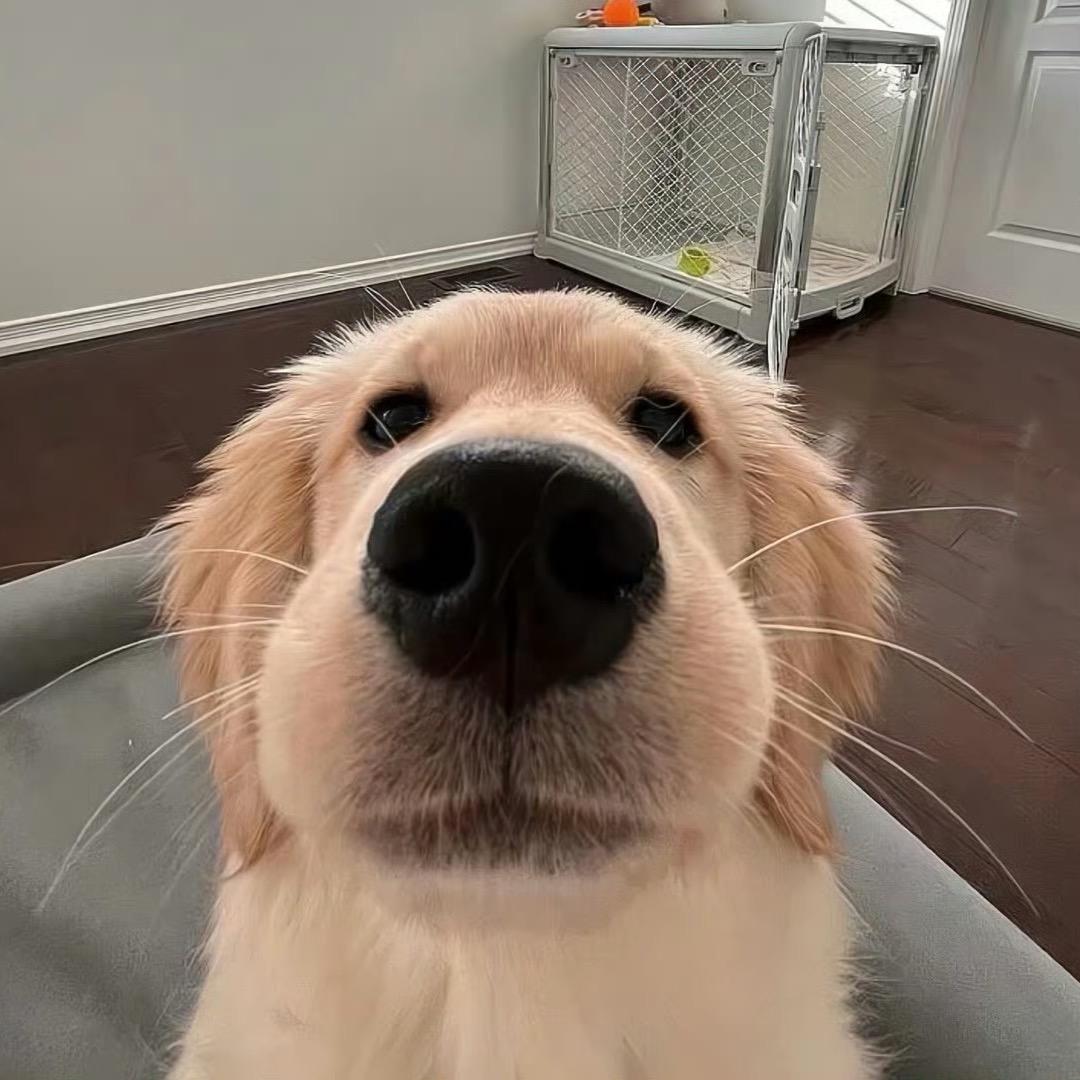 凛凛