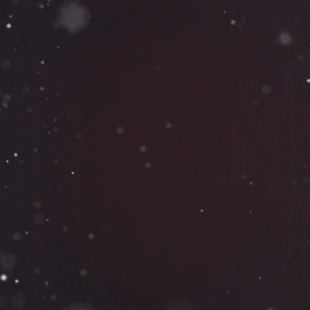 000