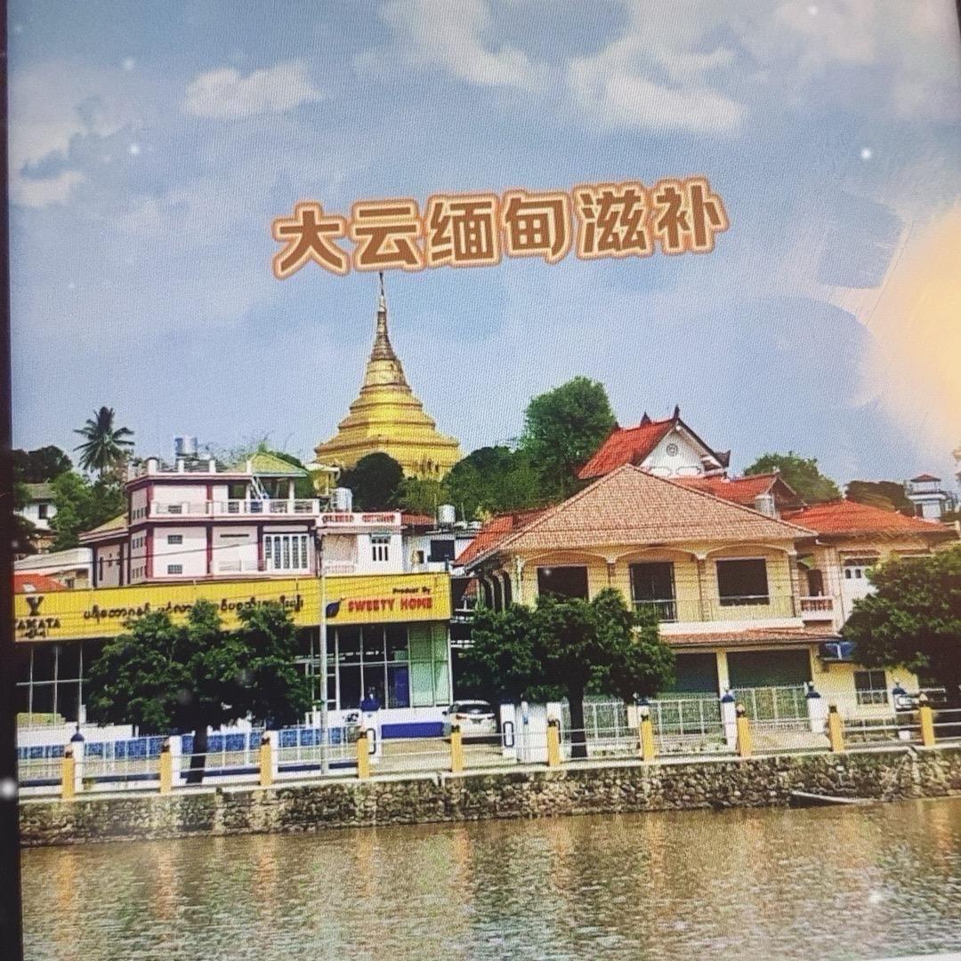大云滋补11