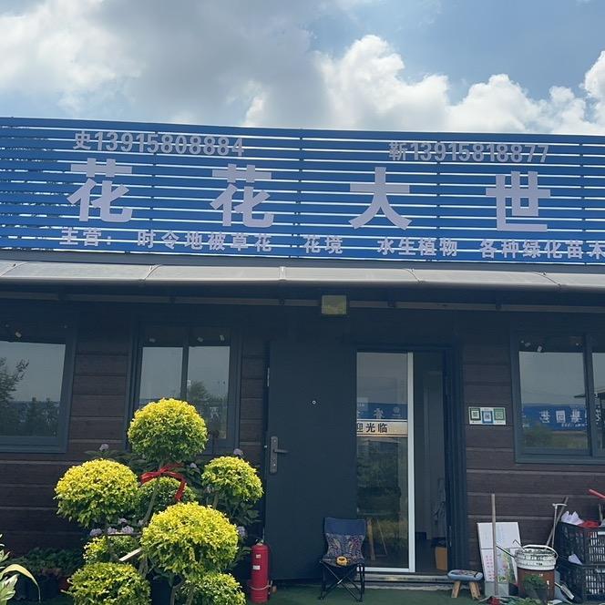 花花大世界花镜植物