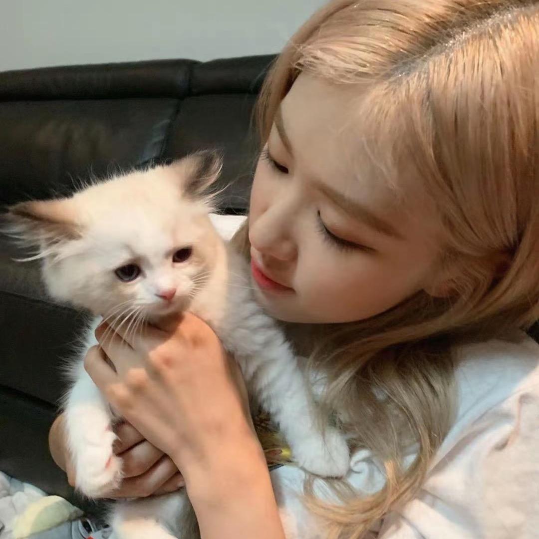 甜小鱼大王＞ڡ＜