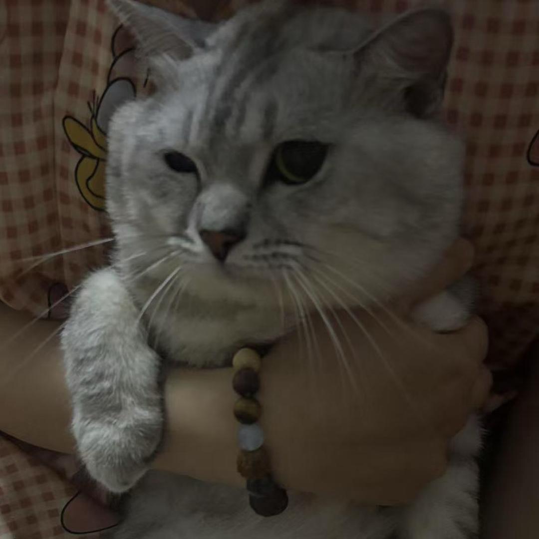 今天洗头了吗
