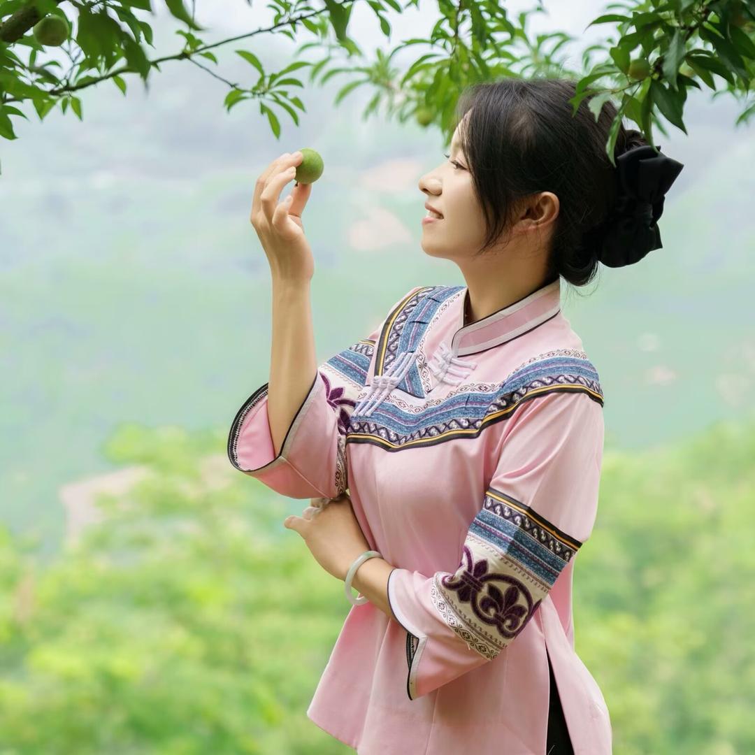 小胡狸🦋六马（蜂糖李）