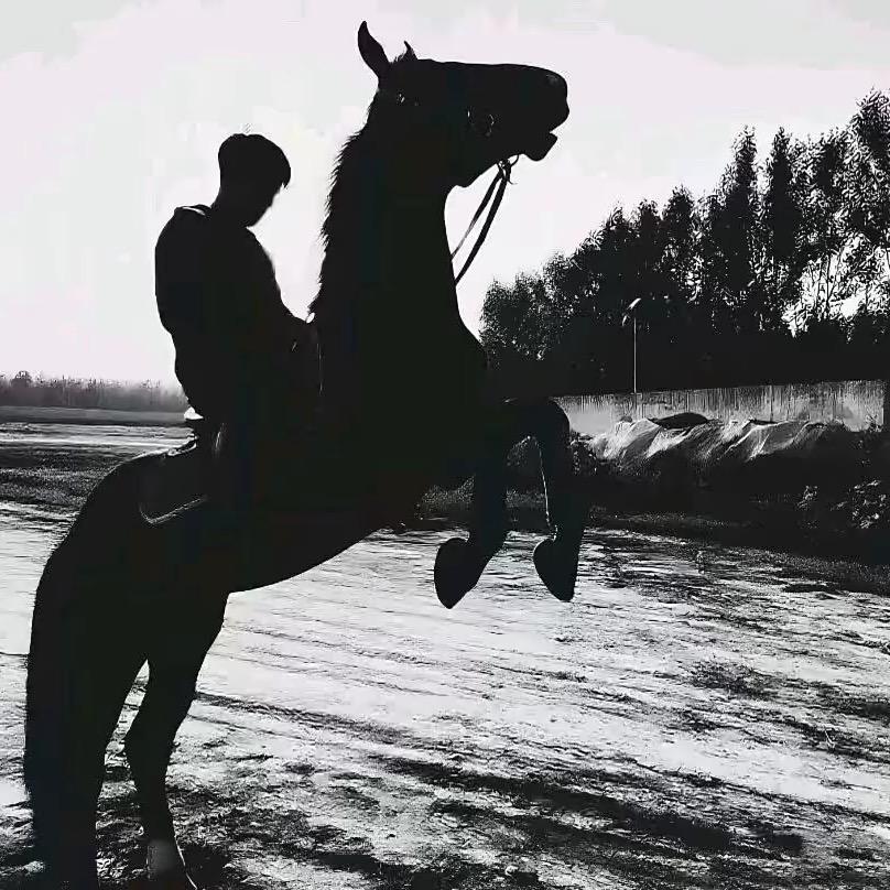 ㅤㅤㅤㅤㅤㅤㅤㅤ⁥⁥