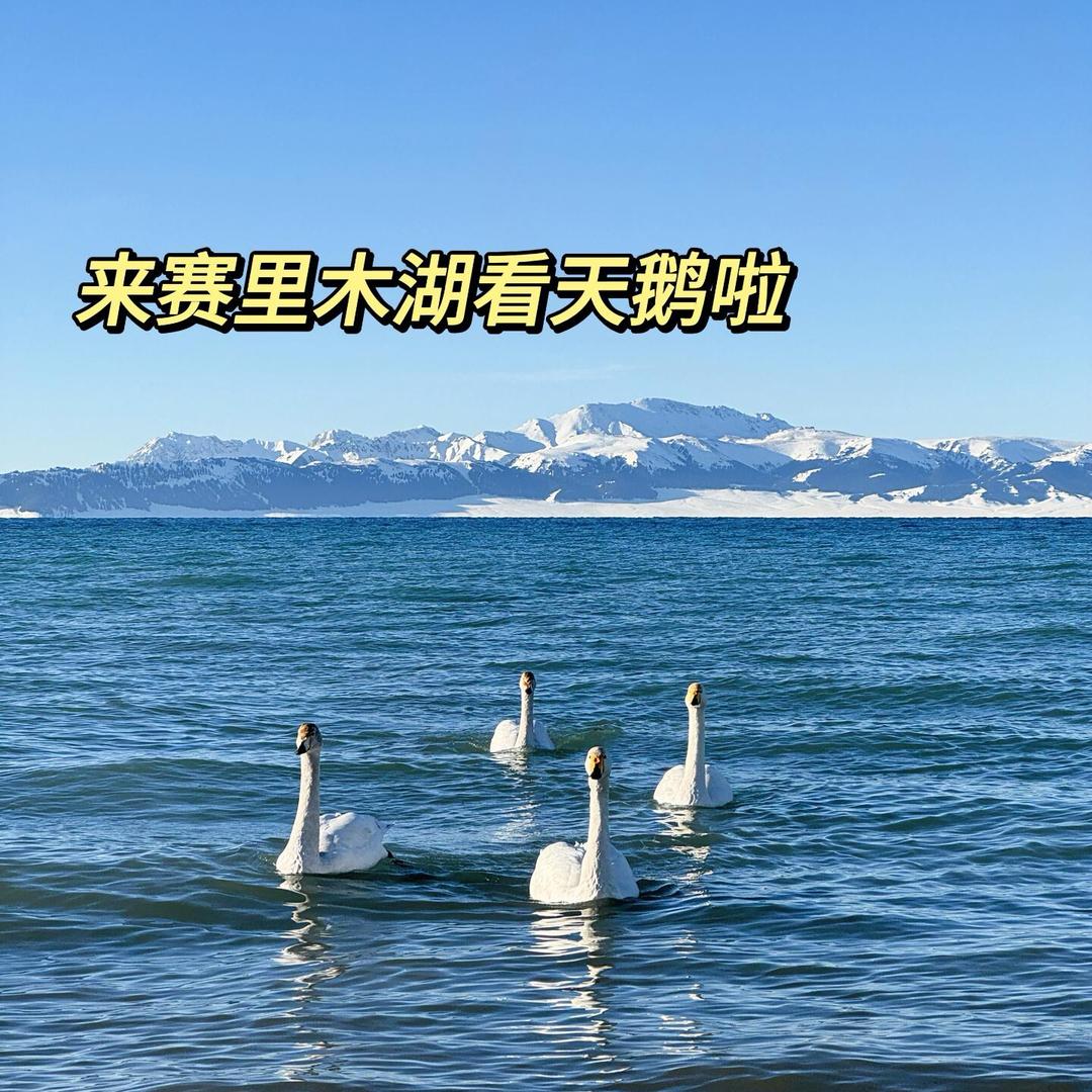 一一