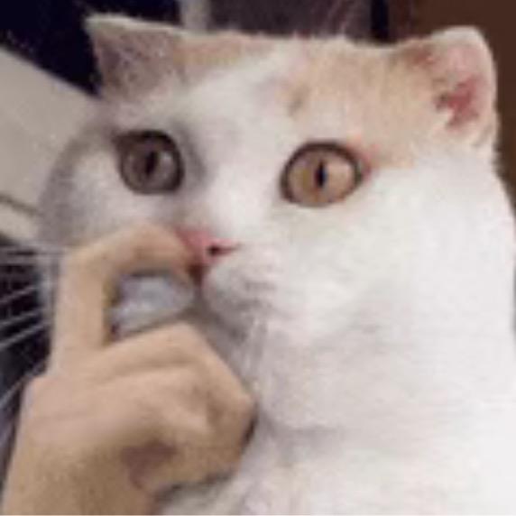 牙牙公主