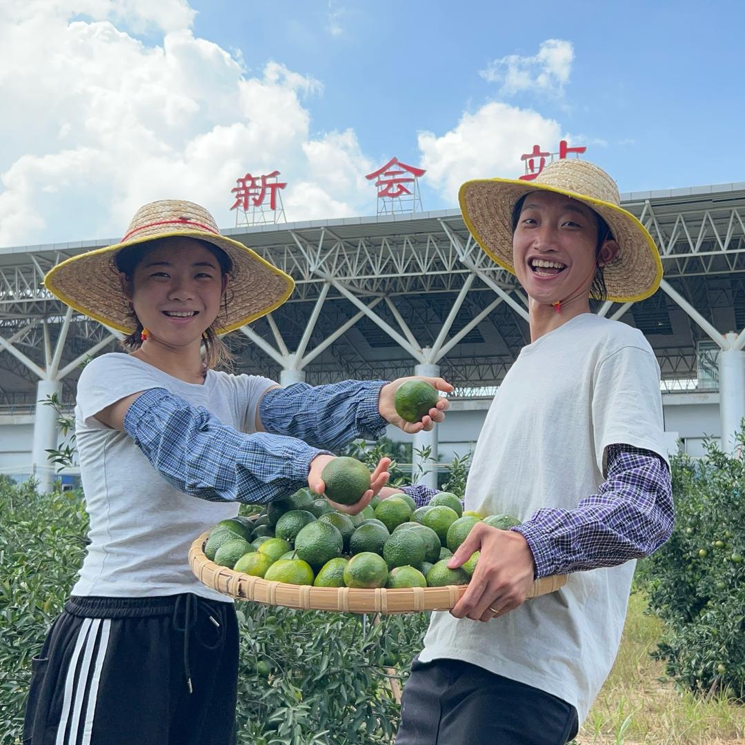 新会鲜果兄妹