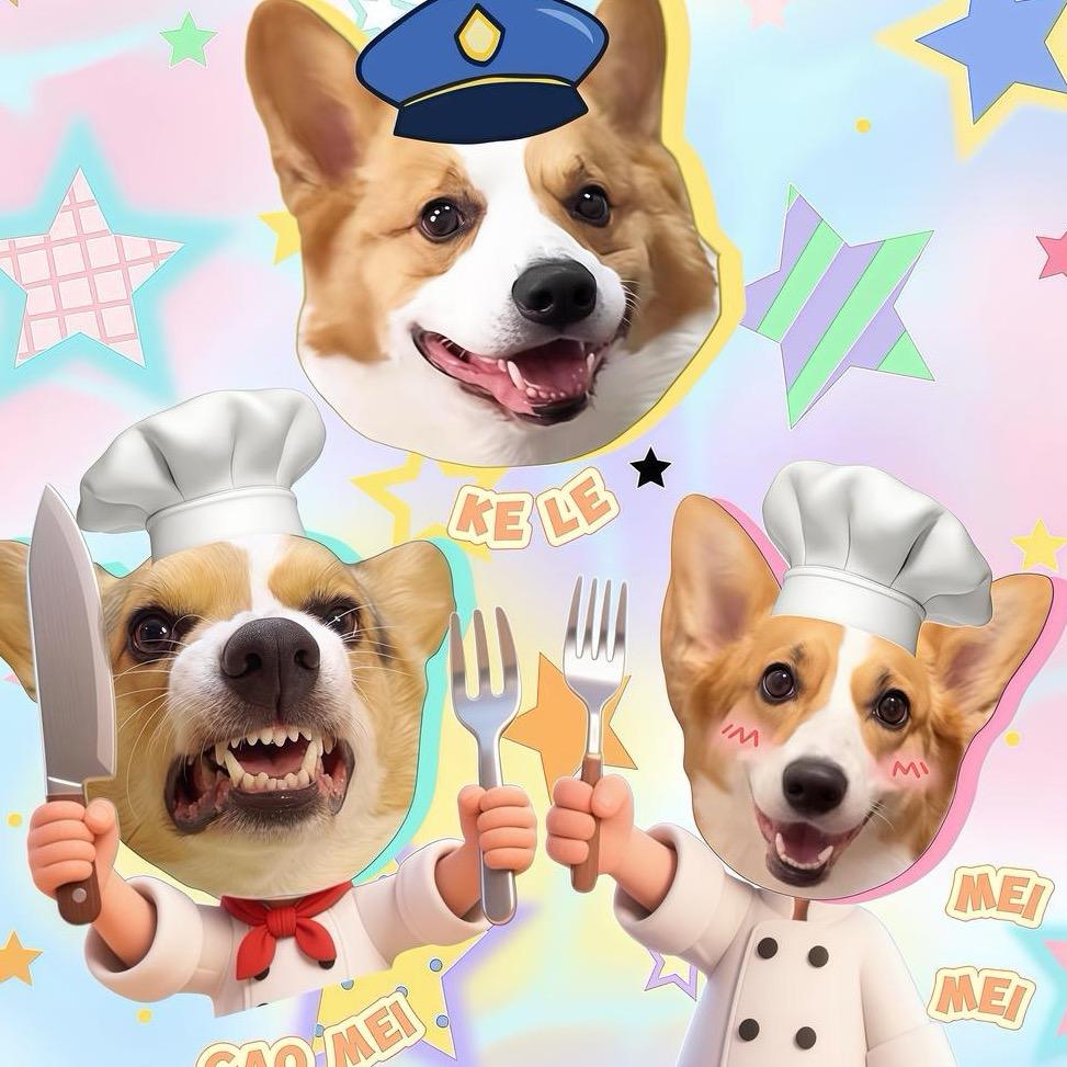 柯基可乐的小分队