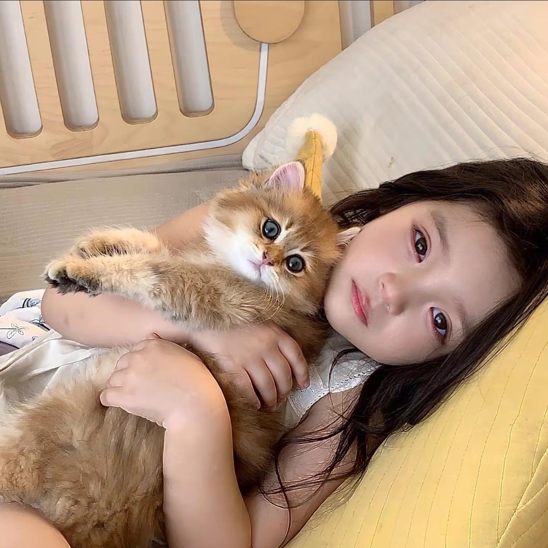 程艾影
