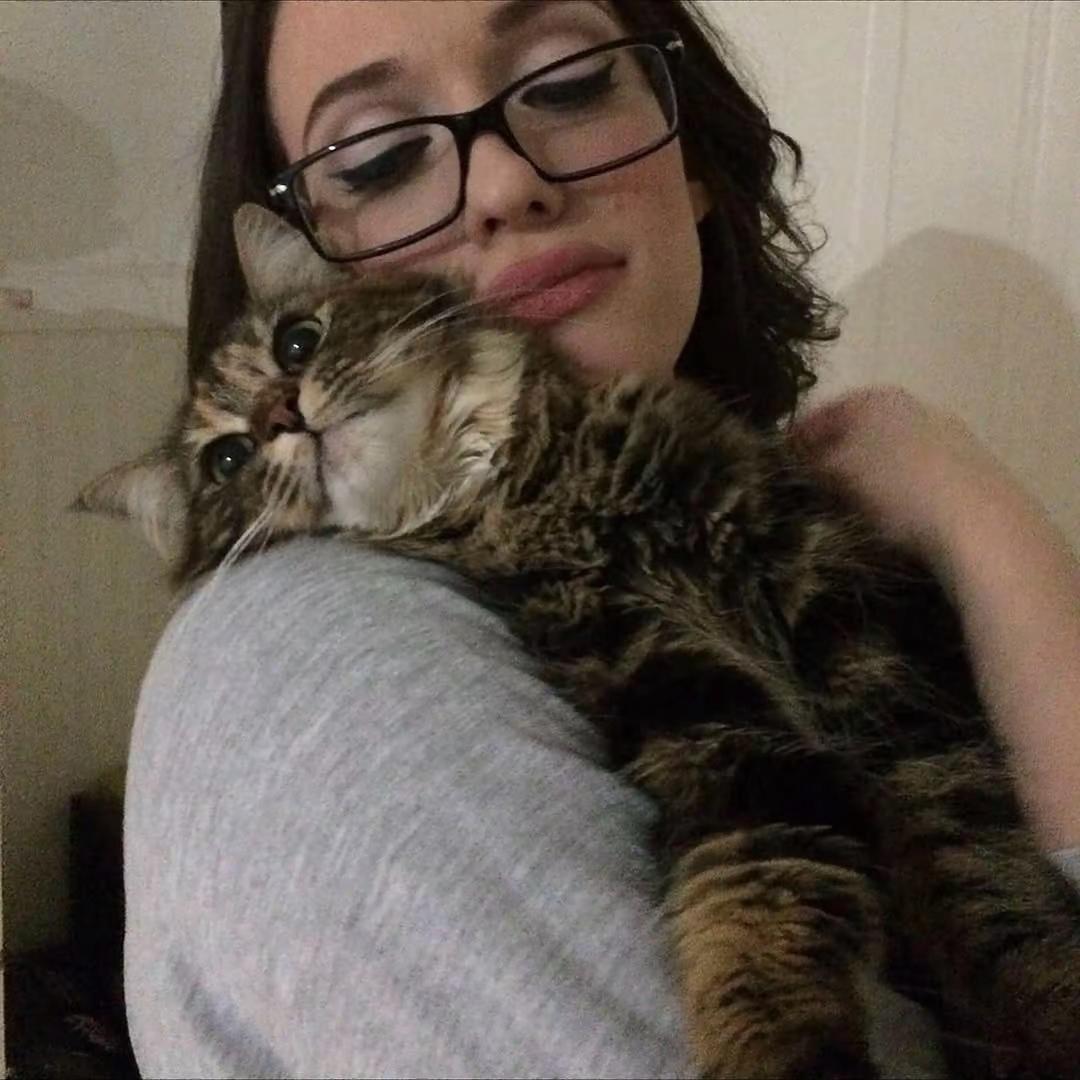 被幽灵附身的乐高