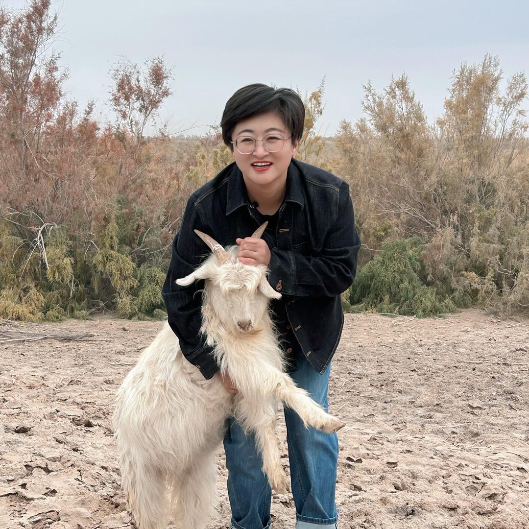 寻羊迹柯坪羊肉