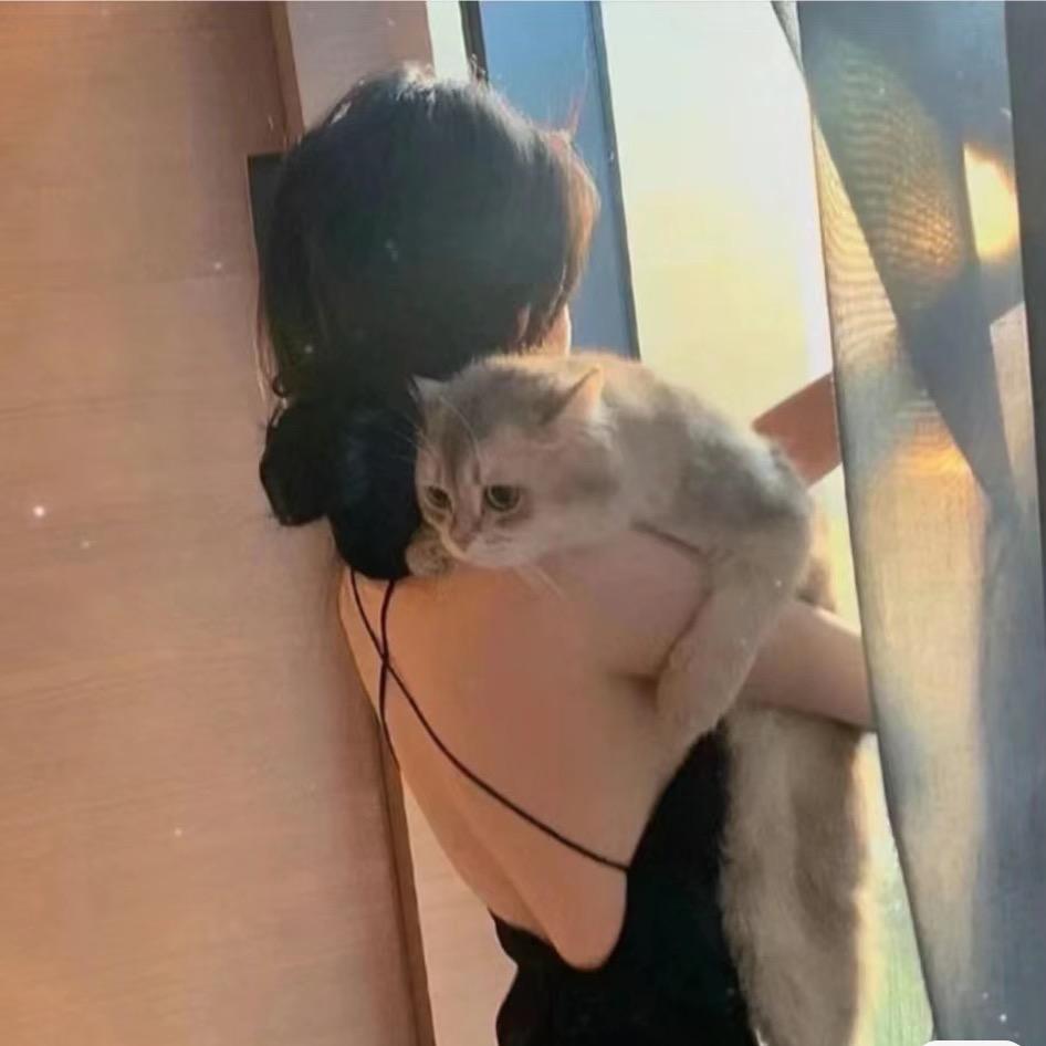 鱼儿鱼儿