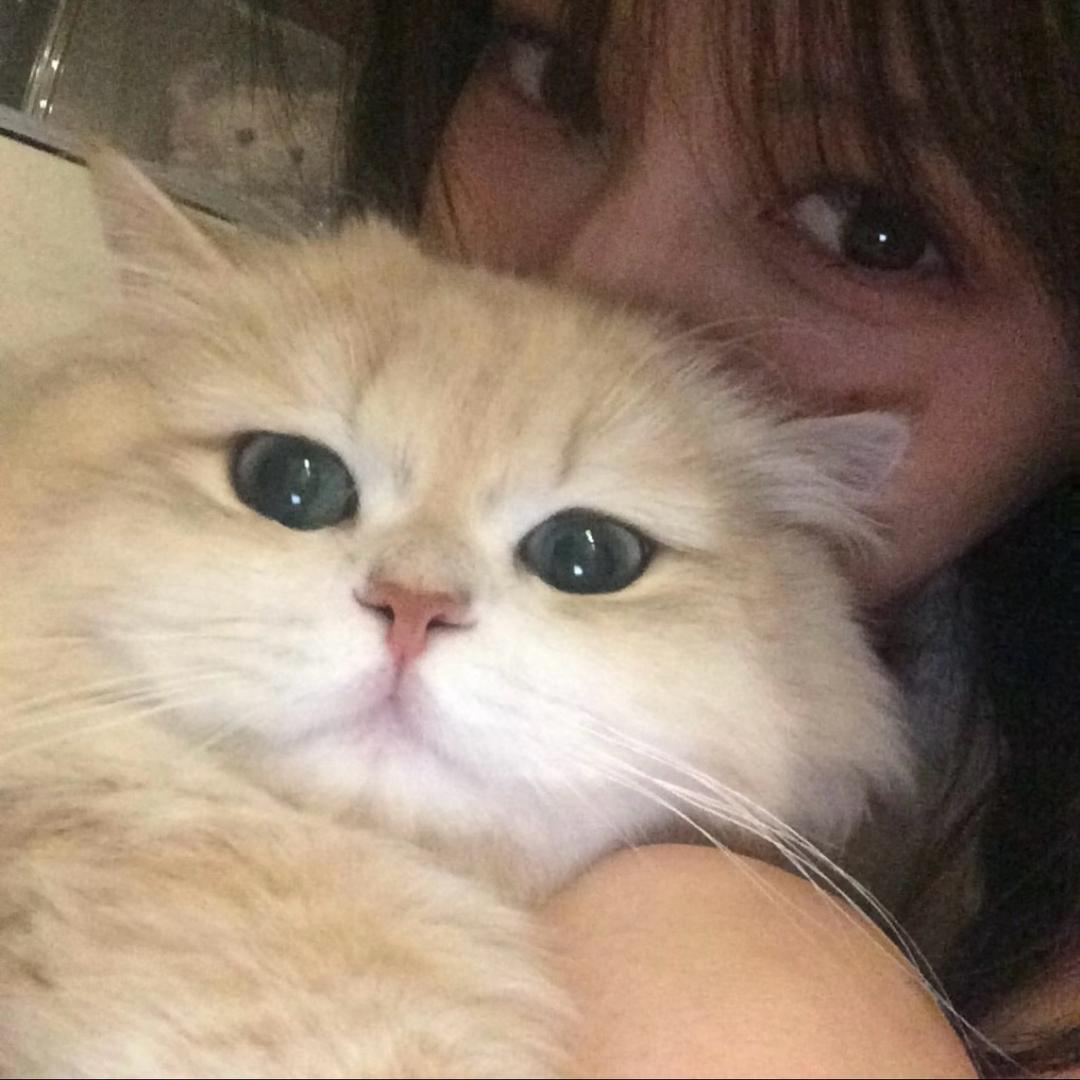 宋子
