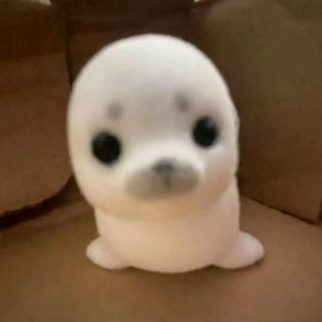 不会说话的蛋挞