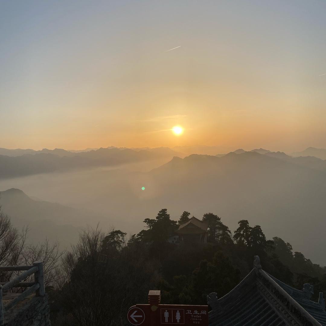 杨先生❶