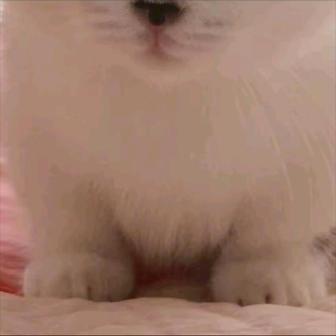 开水味的可乐