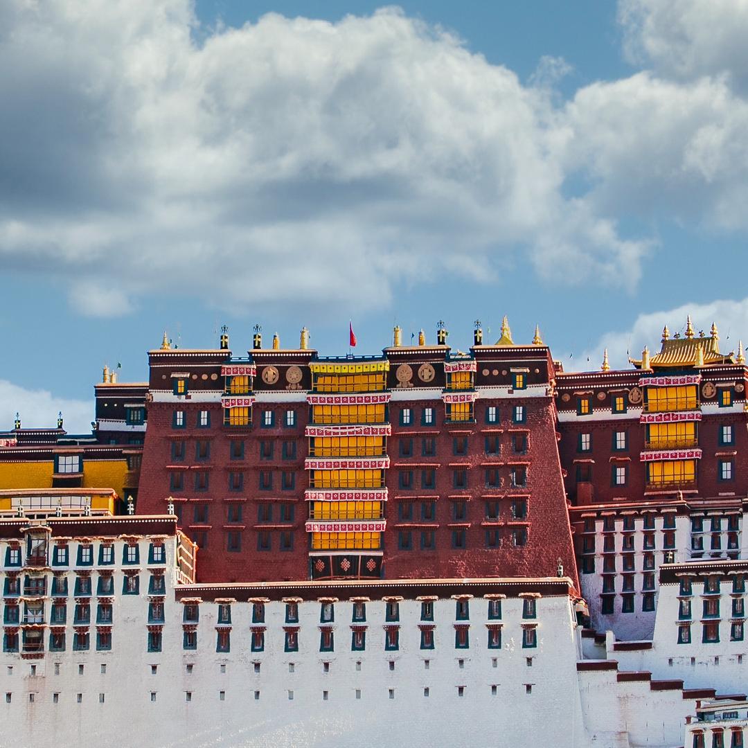 犬马之劳（狗）