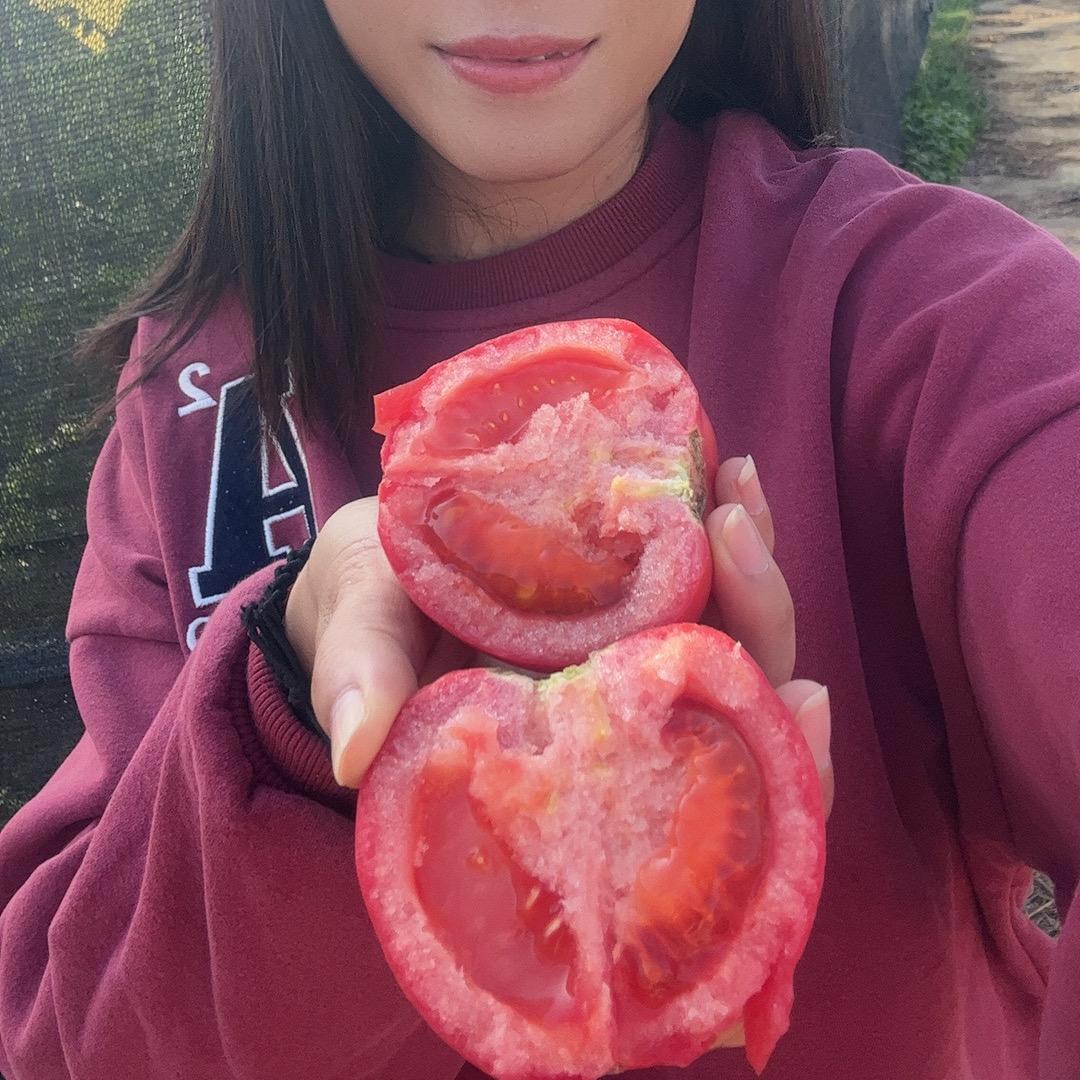七分田 鲜果缘