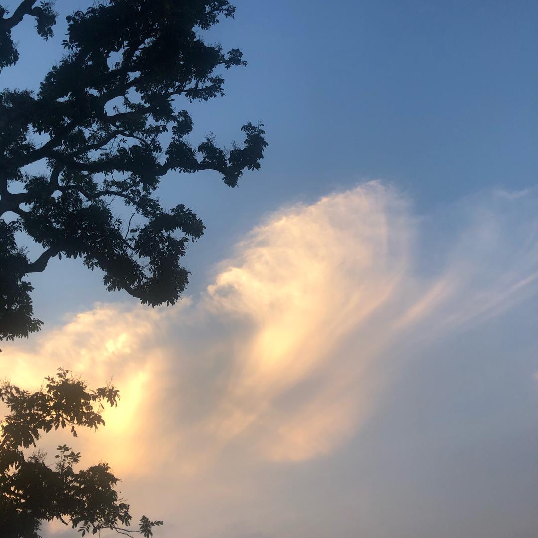 雲起