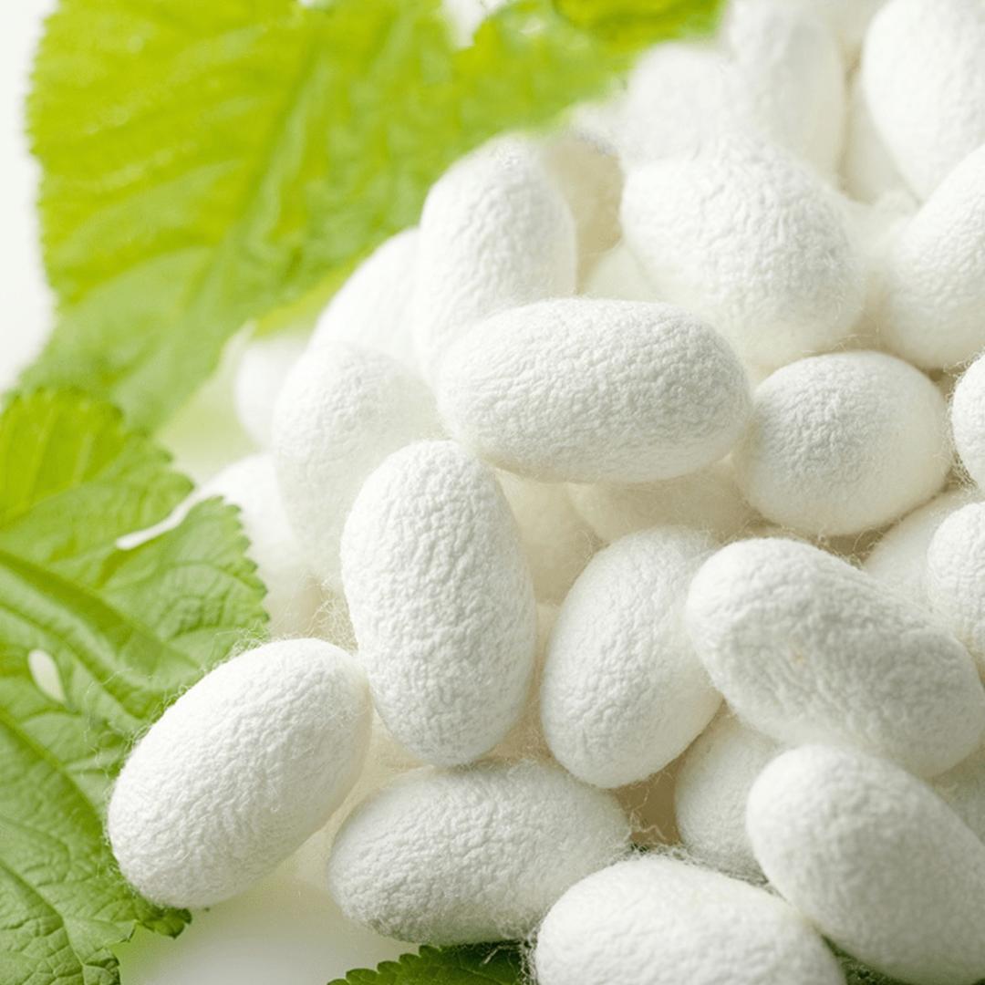 十一真丝工厂店