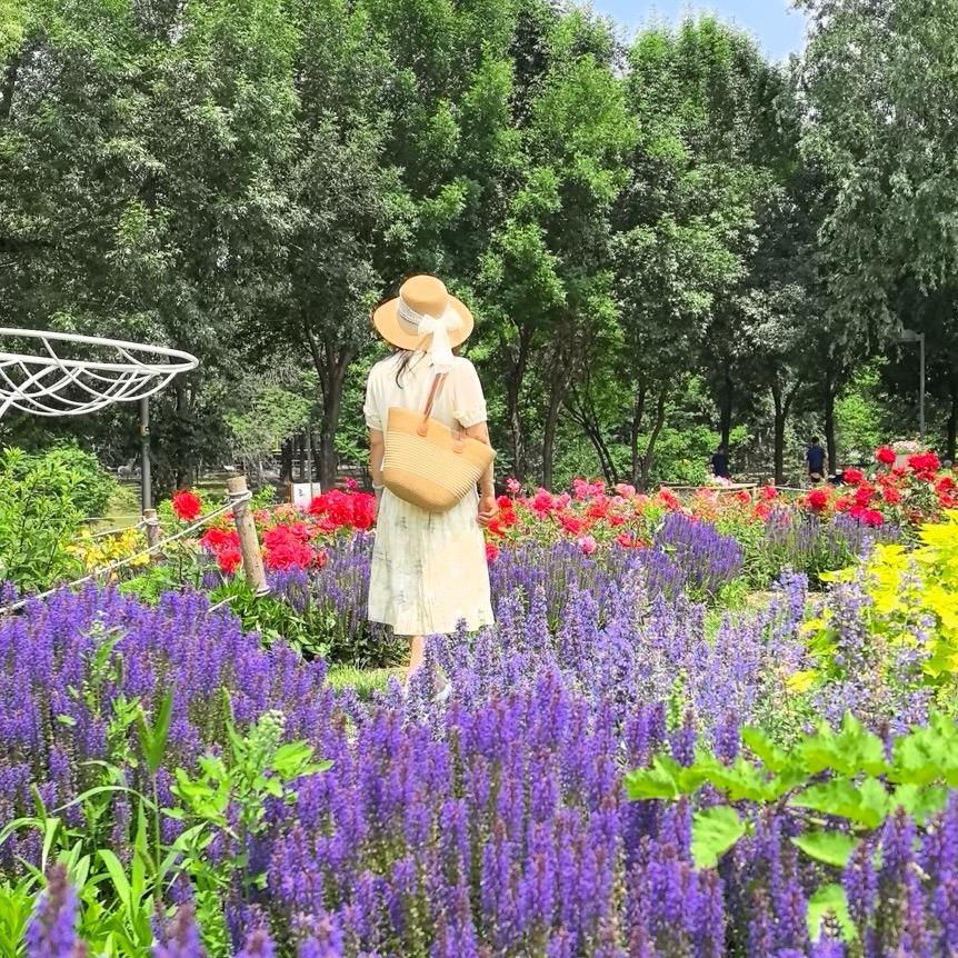 米兰的春天🌾