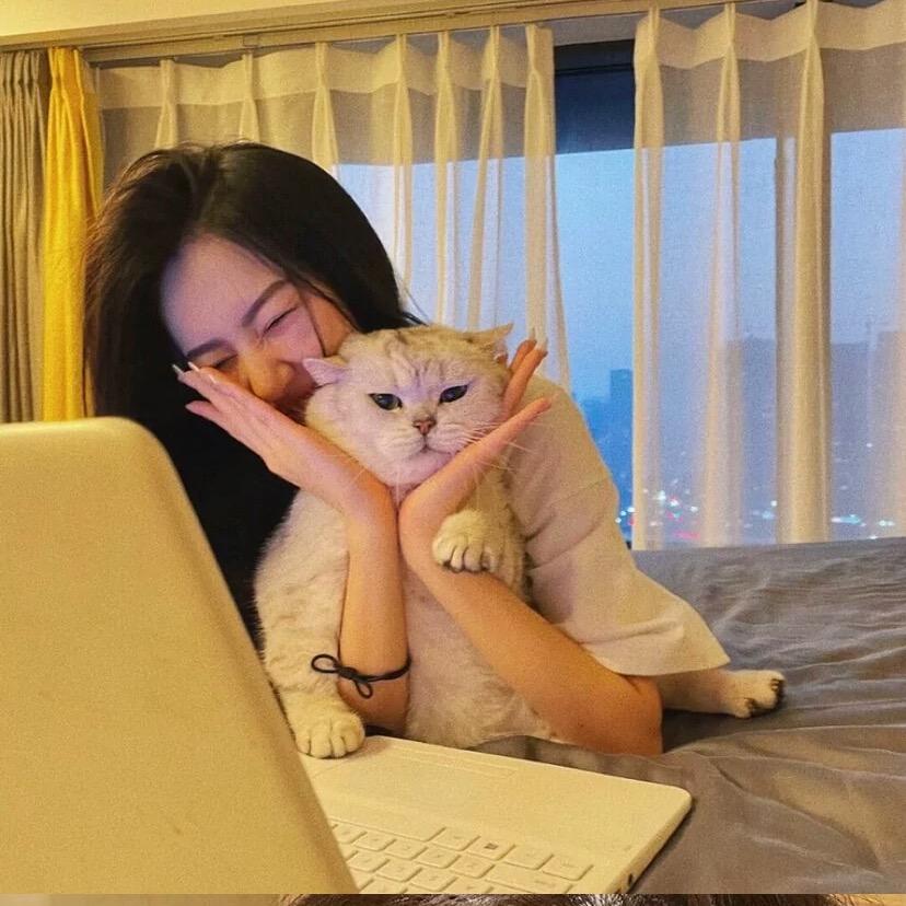 -捉个兔叽🐰