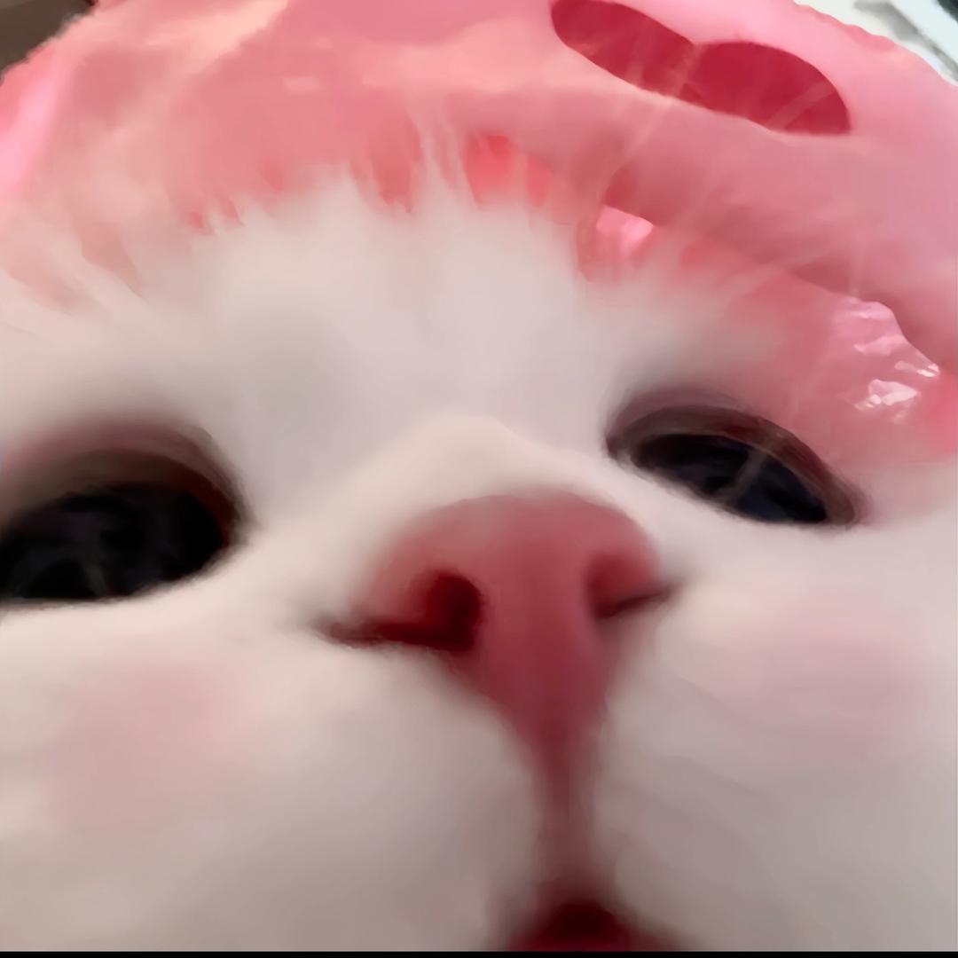 萌の