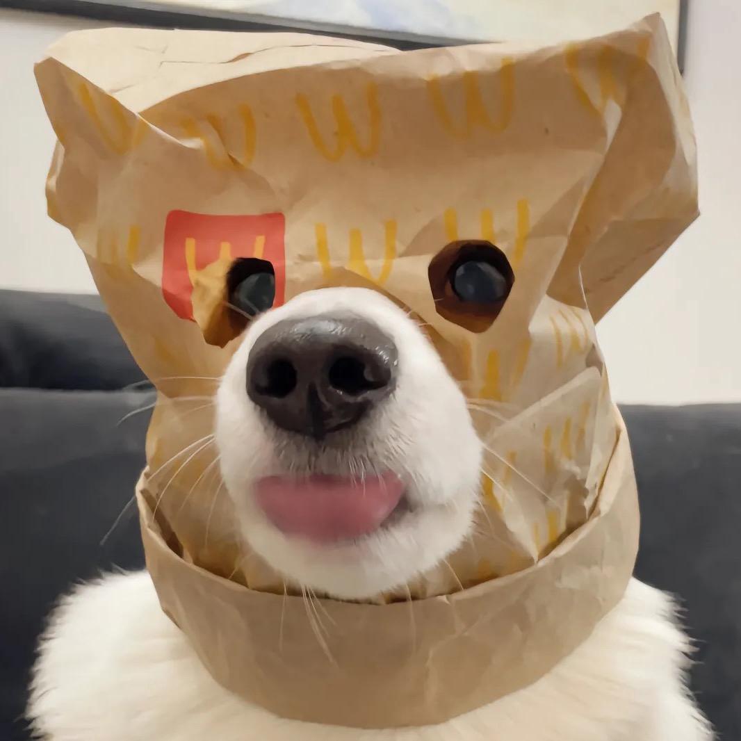 刘呆华.