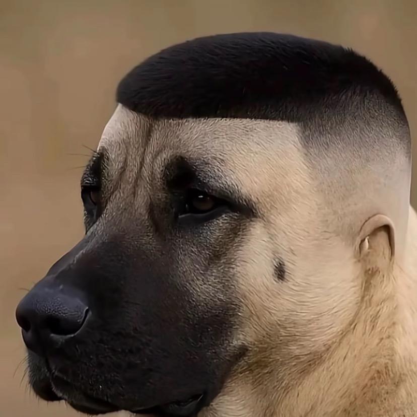 「財神跪。叫二叔」