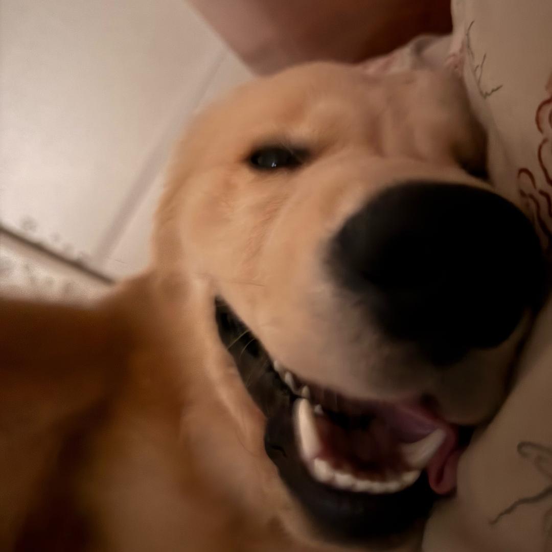 尖椒干豆腐老咸了